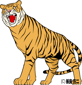 J2SE 1.5 Tiger Ղ̌
